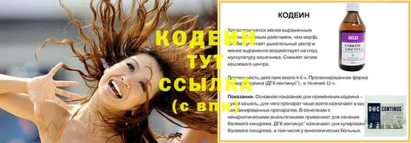 эйфоретик Аркадак