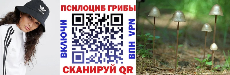 где найти наркотики  Калач  Псилоцибиновые грибы Magic Shrooms 